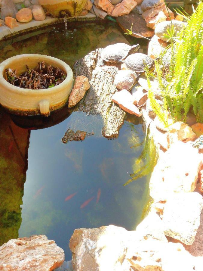B&B Villa Sul Golfo กวาร์ตู ซานเตเลนา ภายนอก รูปภาพ